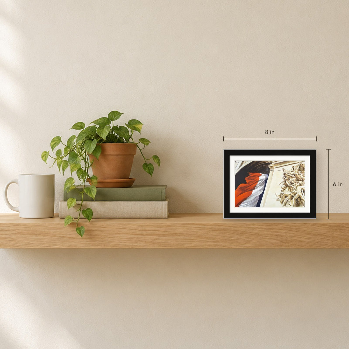 Shown to scale on a shelf
