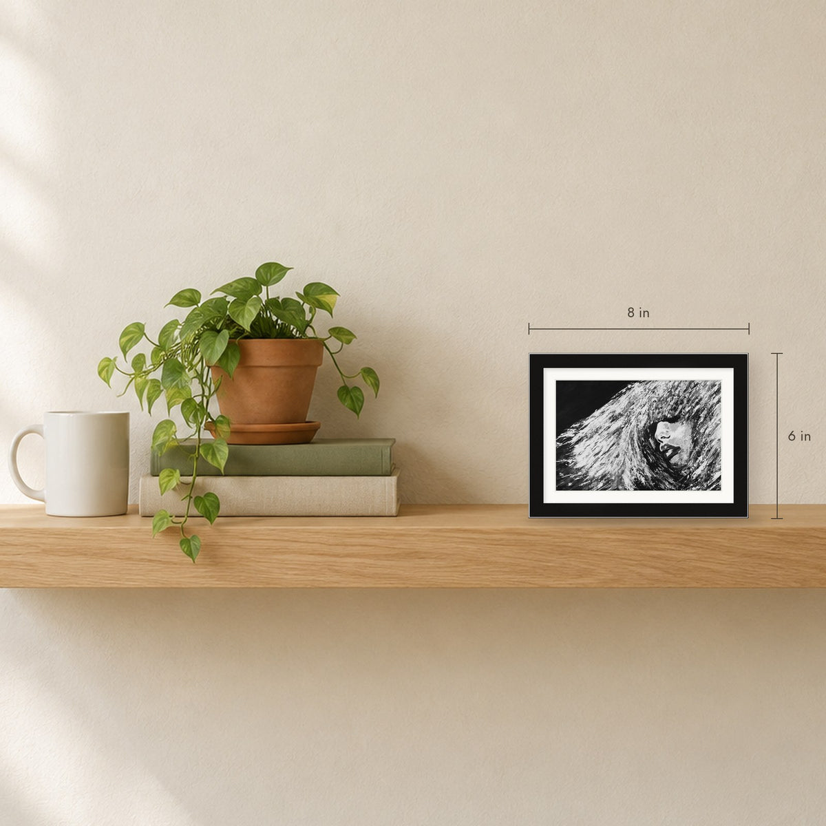 Shown to scale on a shelf