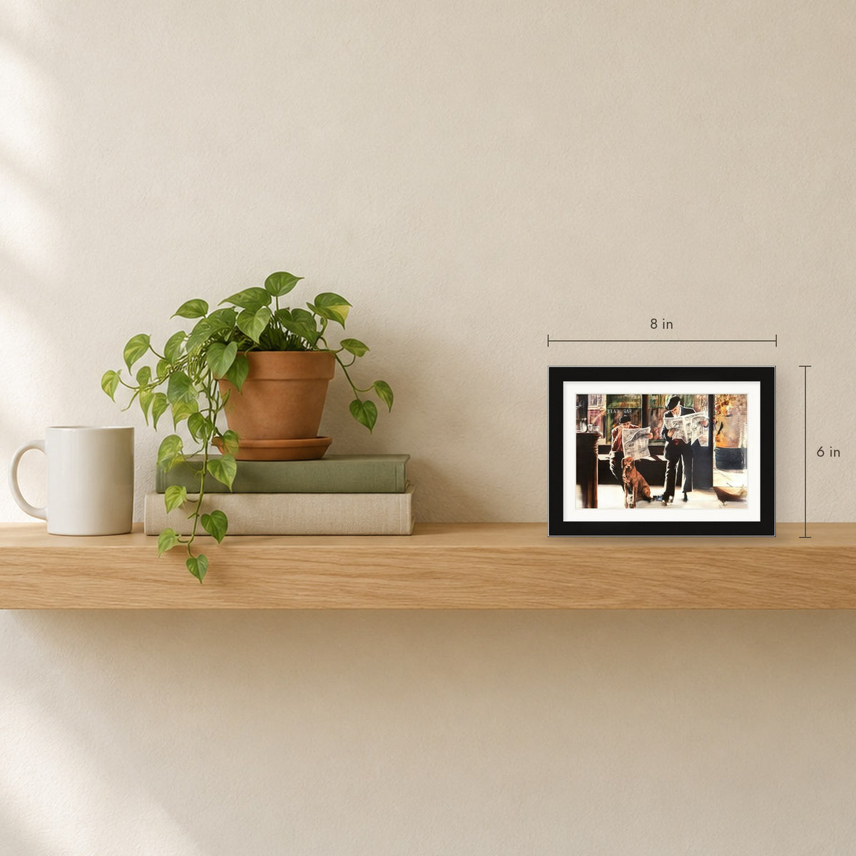 Shown to scale on a shelf