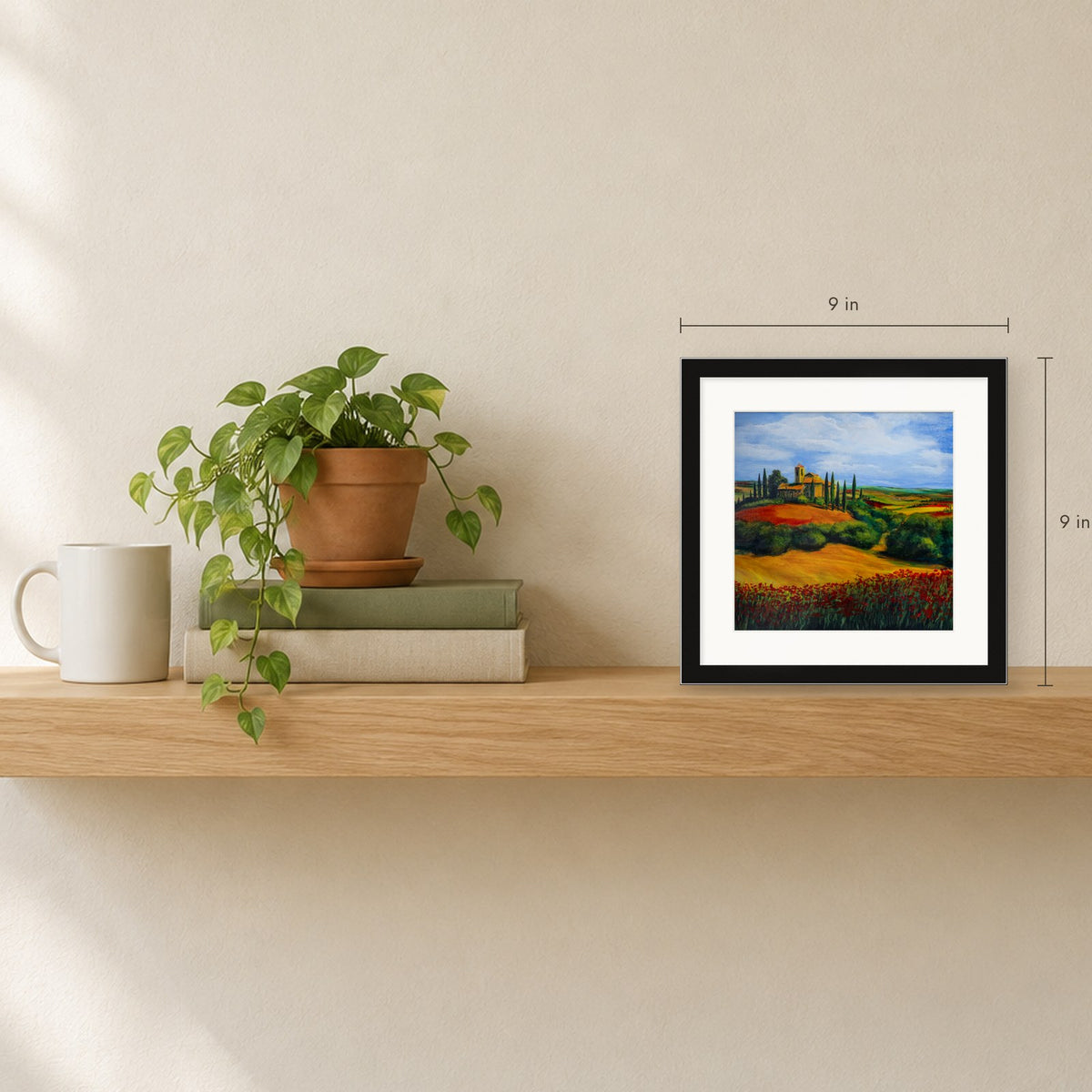 Shown to scale on a shelf