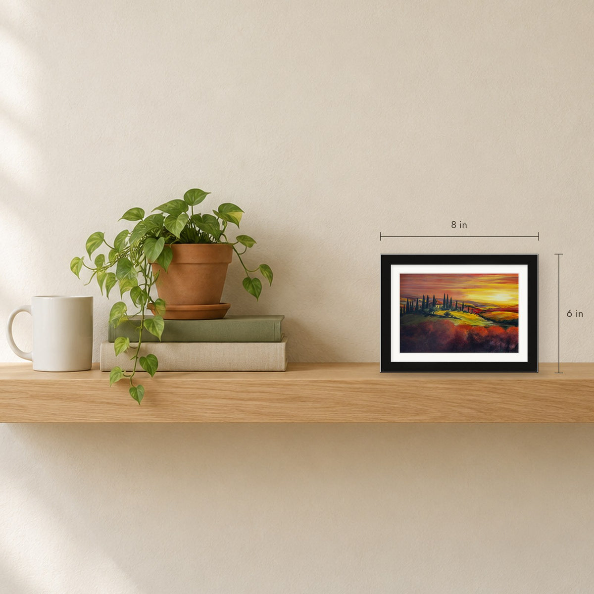 Shown to scale on a shelf